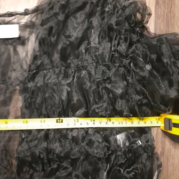 Aethereal Tank Air Sheer Puffed Top Size 4 Organza - Picture 6 of 15